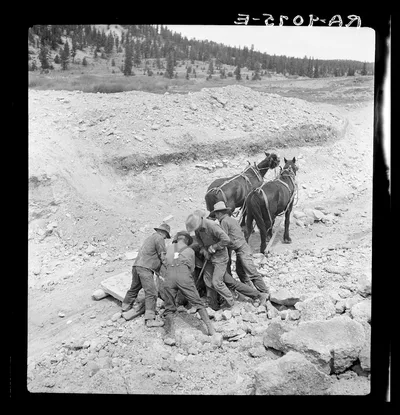 Photograph from Utah: Widtsoe land use adjustment project. Garfield…