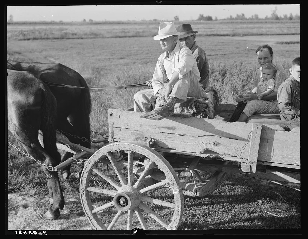 Horse and wagon is still a common means of transportation. Family…, Missouri, 1938